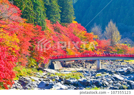 Beautiful autumn leaves of Korankei and Matigetsu Bridge Beautiful autumn leaves of Korankei and Matigetsu Bridge 107355123