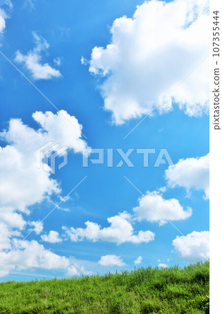 Summer blue sky and fresh green meadow landscape Summer blue sky and fresh green meadow landscape 107355444
