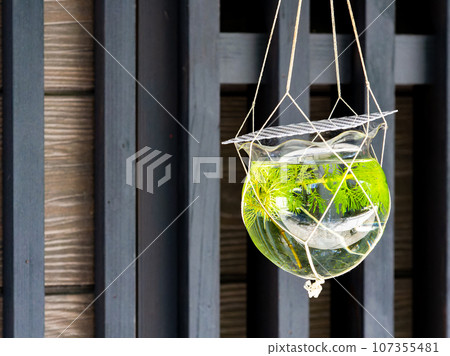 山形市水町屋七日町五天石地區夏日街角的絕妙空間 107355481