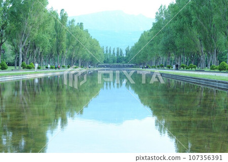 一排排楊樹倒映在水面上 107356391