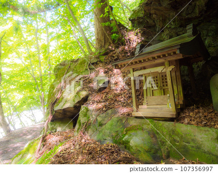 神社與初夏的陽光 神社與初夏的陽光 107356997
