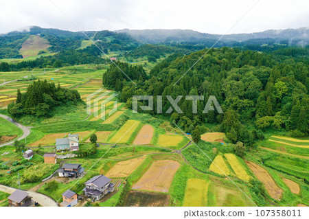 Niigata rice field 107358011
