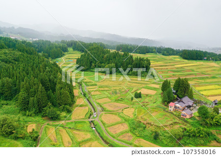 Niigata rice field 107358016