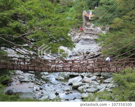 Iya Kazura Bridge, a nationally designated Important Tangible Folk Cultural Property, is a suspension bridge made of vines that spans deep in the mountains of Tokushima, Shikoku, where the legend of the Heike remains. Iya Kazura Bridge, a nationally designated Important Tangible Folk Cultural Property, is a suspension bridge made of vines that spans deep in the mountains of Tokushima, Shikoku, where the legend of the Heike remains. 107358100