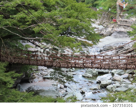 Iya Kazura Bridge, a nationally designated Important Tangible Folk Cultural Property, a fishing bridge made of vines that spans deep in the mountains of Tokushima, Shikoku, where the legend of the Heike remains. 107358101