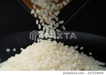 飯 飯 107359048