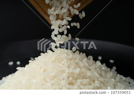 Rice 107359051