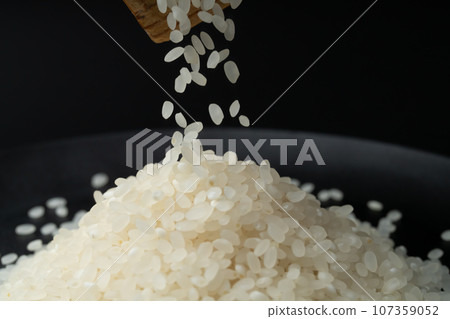 Rice 107359052