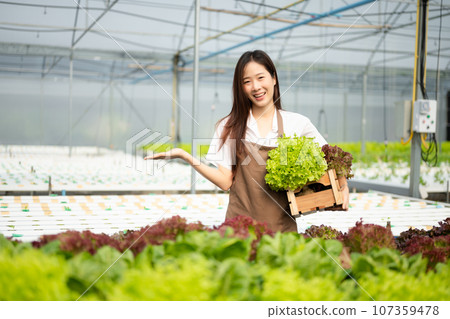 Asian female farmer working early on farm holding wood basket of fresh vegetables and tablet in the greenhouse 107359478