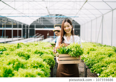 Asian female farmer wearing is caring for organic vegetables inside the nursery.Young entrepreneurs with an interest in agriculture. Building a agricultural career Asian female farmer wearing is caring for organic vegetables inside the nursery.Young entrepreneurs with an interest in agriculture. Building a agricultural career 107359886