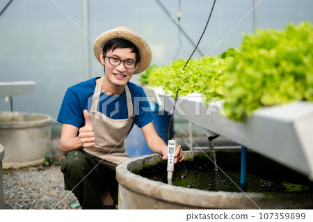 Researcher are checking with ph strips in hydroponic farm and pH level scale graphic, science laboratory greenhouse concept. at farm 107359899