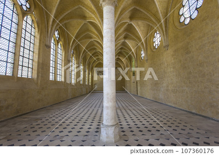Saint Jean des vignes abbey, Soissons, France 107360176