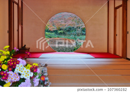 Autumn December Autumn flowers and leaves at Kita Kamakura Meigetsuin Marumado (Window of Enlightenment) 107360282