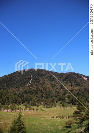 大倉山 大倉山 107360470
