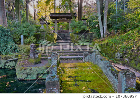Autumn December: Moss-covered stone steps and elegant somon gate at Jochiji Temple, Kita-Kamakura Autumn December: Moss-covered stone steps and elegant somon gate at Jochiji Temple, Kita-Kamakura 107360957
