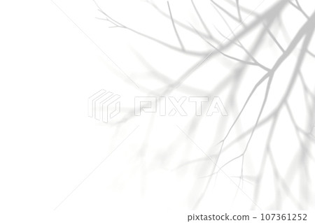 simple tree shadow background material 107361252