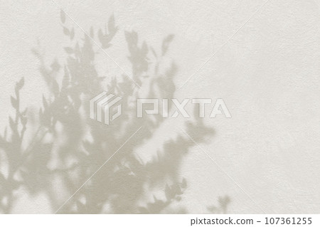 Background material of the shadow of tree leaves reflected on the wall 107361255