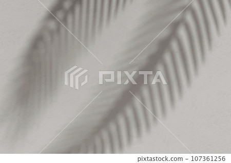 牆上反射的棕櫚葉陰影背景素材 107361256