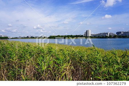 Sunny Yatsu Higata Park (Narashino City, Chiba Prefecture) 107362279