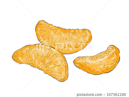 Illustration of a peeled mandarin orange (watercolor style) Illustration of a peeled mandarin orange (watercolor style) 107362280