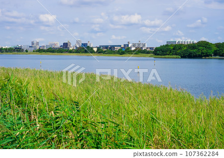 陽光八日方公園（千葉縣習志野市） 107362284