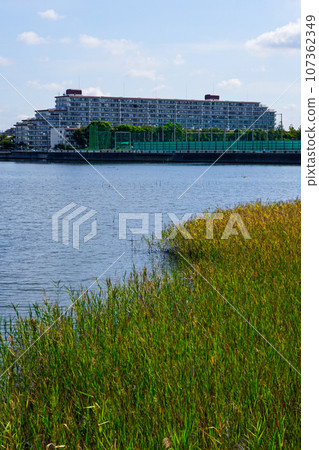 Sunny Yatsu Higata Park (Narashino City, Chiba Prefecture) Sunny Yatsu Higata Park (Narashino City, Chiba Prefecture) 107362349