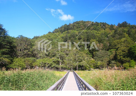 Yunohira Wetland Yunohira Wetland 107363024