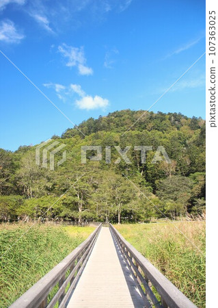 Yunohira Wetland Yunohira Wetland 107363025