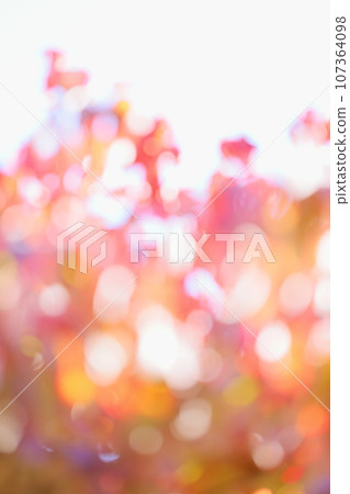 Out-of-focus of autumn leaves of dogwood [Bokeh] [Blur] 107364098