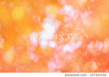 Blur of maple leaves [out focus] 107364108
