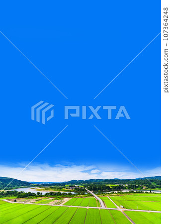 川口牛島的信濃川(千曲川)、牛島大橋、田園風光【新潟縣的風景】 川口牛島的信濃川(千曲川)、牛島大橋、田園風光【新潟縣的風景】 107364248