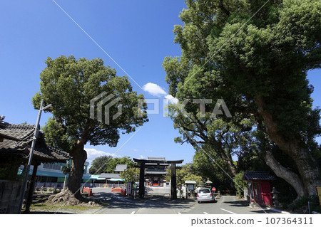 九州第二天滿宮 小鶴錦鯉森林 水田天滿宮 107364311