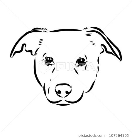 austrian pinscher vector sketch illustration austrian pinscher vector sketch illustration 107364505