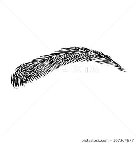 Eyebrow design logo. Vector brow. Minimalism. Eyebrow design logo. Vector brow. Minimalism. 107364677