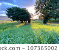 Dusk in the countryside of Okayama 107365002