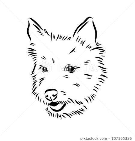 Decorative outline portrait of Dog Australian Terrier, vector Decorative outline portrait of Dog Australian Terrier, vector 107365326