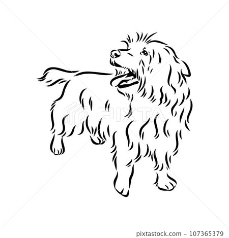 Decorative outline portrait of Dog Australian Terrier, vector Decorative outline portrait of Dog Australian Terrier, vector 107365379