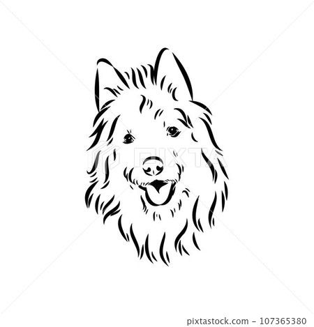 Decorative outline portrait of Dog Australian Terrier, vector Decorative outline portrait of Dog Australian Terrier, vector 107365380