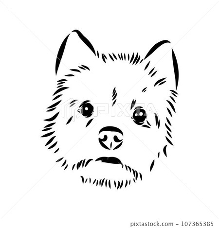 Decorative outline portrait of Dog Australian Terrier, vector 107365385