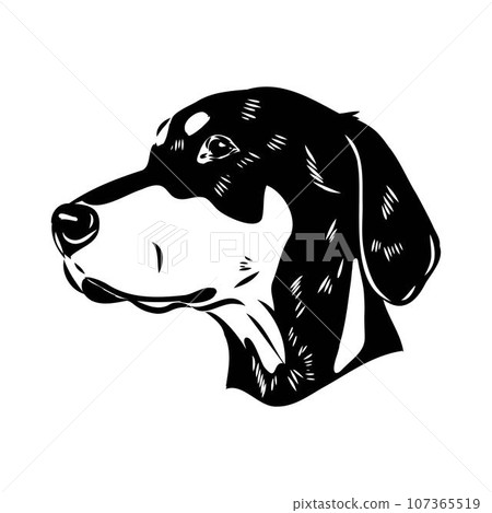 Austrian Black and Tan Hound austrian brandlbracke vector Austrian Black and Tan Hound austrian brandlbracke vector 107365519