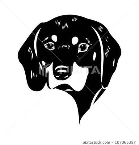 Austrian Black and Tan Hound austrian brandlbracke vector 107366387