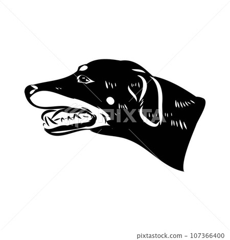 Austrian Black and Tan Hound austrian brandlbracke vector 107366400