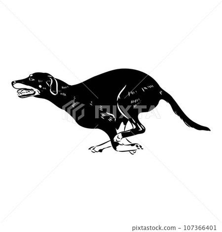 Austrian Black and Tan Hound austrian brandlbracke vector Austrian Black and Tan Hound austrian brandlbracke vector 107366401