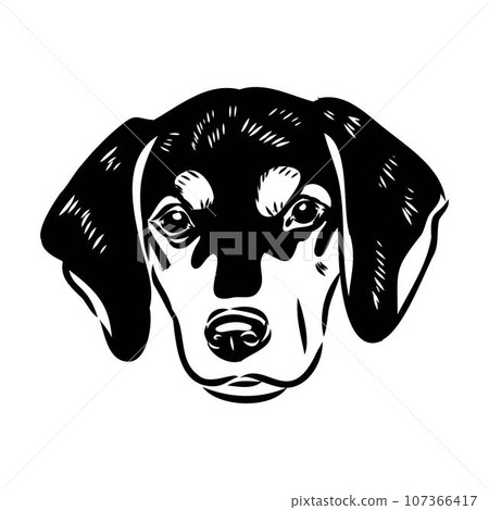 Austrian Black and Tan Hound austrian brandlbracke vector Austrian Black and Tan Hound austrian brandlbracke vector 107366417