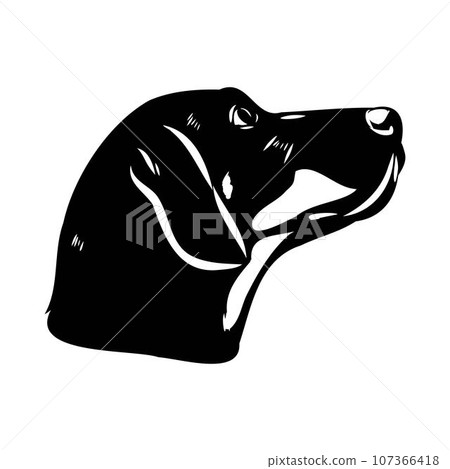 Austrian Black and Tan Hound austrian brandlbracke vector Austrian Black and Tan Hound austrian brandlbracke vector 107366418