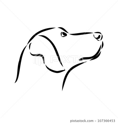 Austrian Black and Tan Hound austrian brandlbracke vector Austrian Black and Tan Hound austrian brandlbracke vector 107366453