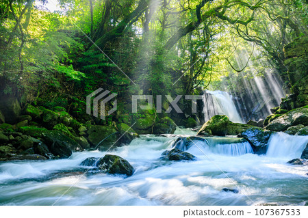 Meotodaki Falls and Rays of Light in Summer, Aso District, Kumamoto Prefecture 107367533