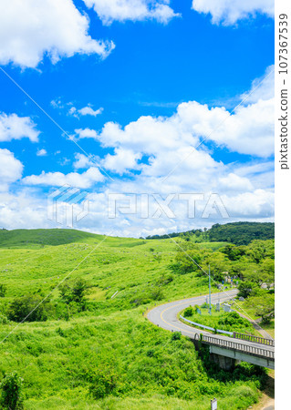 Akiyoshidai in summer Mine City, Yamaguchi Prefecture Akiyoshidai in summer Mine City, Yamaguchi Prefecture 107367539