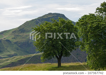 Calton Hill in Edinburgh with the Arthur's Seat behind 107367742