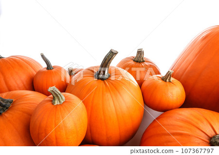 Many orange pumpkins on white Many orange pumpkins on white 107367797